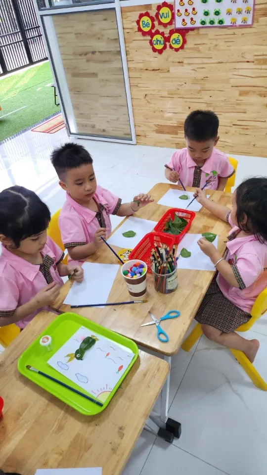 Mầm Non Hạt Giống - The Seed Kindergarten