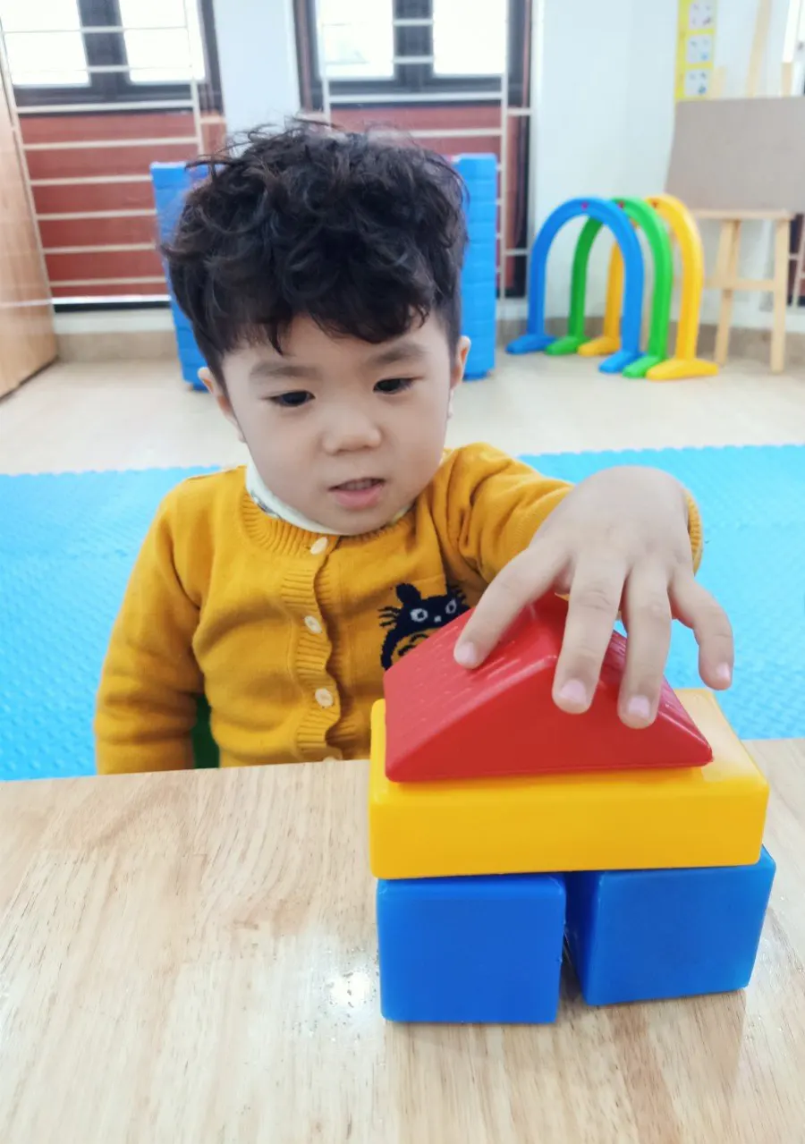 Trường mầm non Trí Việt