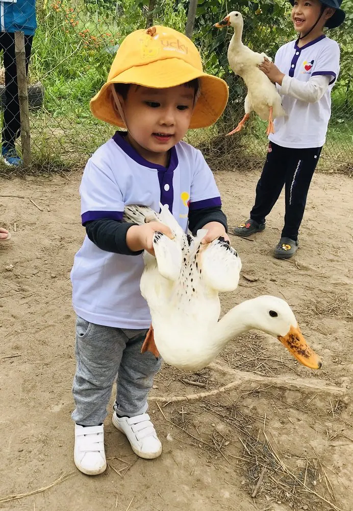 Mầm non Alpha (Alpha Childcare)