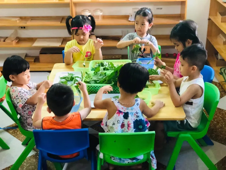 Trường mầm non Hoa Hồng 2 - KĐT Nam La Khê
