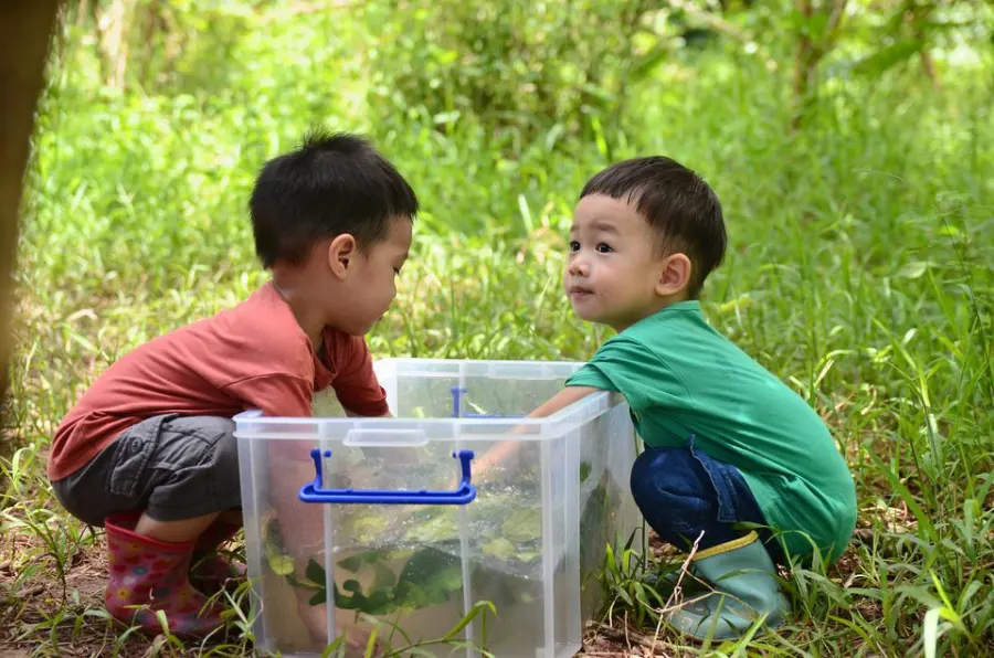 Trường mầm non Mầm Xanh Steiner - Inspired School