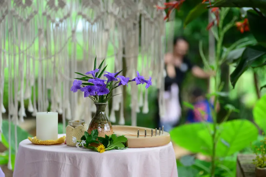 Trường mầm non Mầm Xanh Steiner - Inspired School