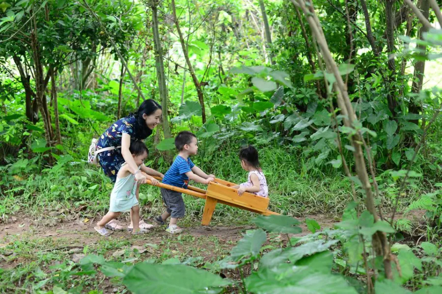 Trường mầm non Mầm Xanh Steiner - Inspired School