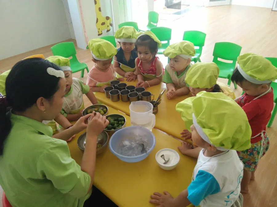 Trường mầm non tư thục Hoạ Mi
