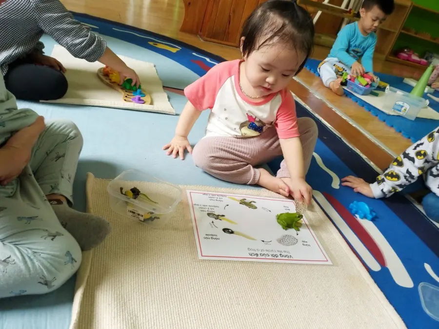 Trường Mầm Non Tư Thục Khánh Linh