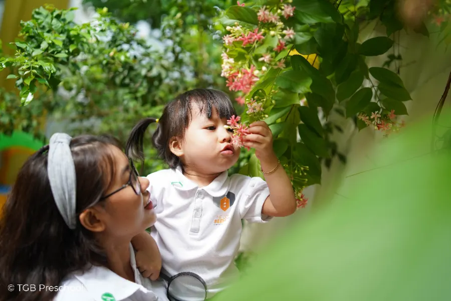 Trường Mầm non The Gold Beehive – TGB Preschool Cơ sở Thảo Điền