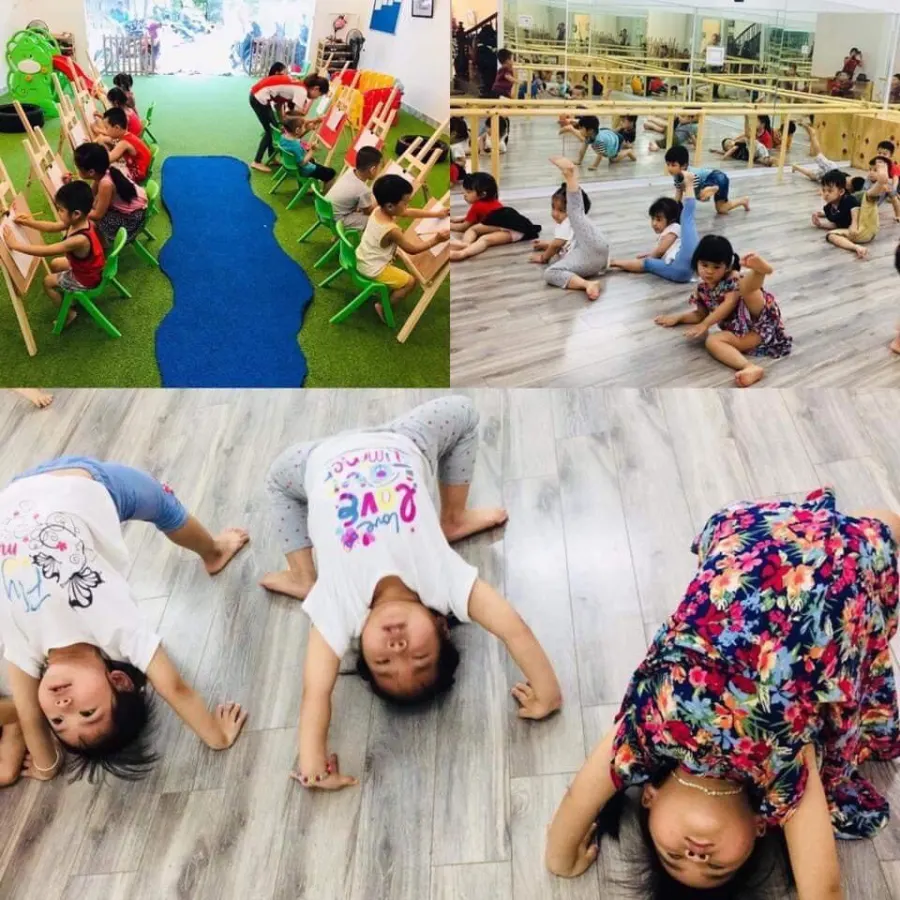 Mầm non Hoa Sen Stemkids