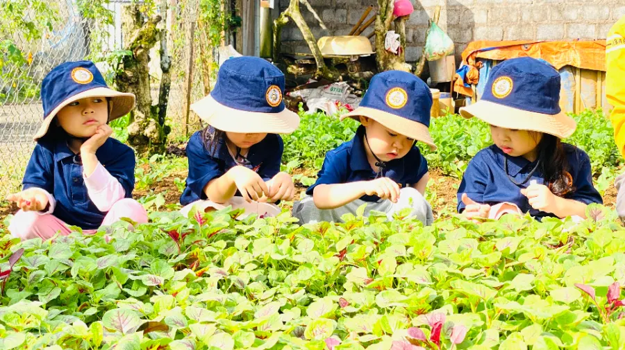 Mầm Non Bắc Âu - Phường 2, TP. Bảo Lộc