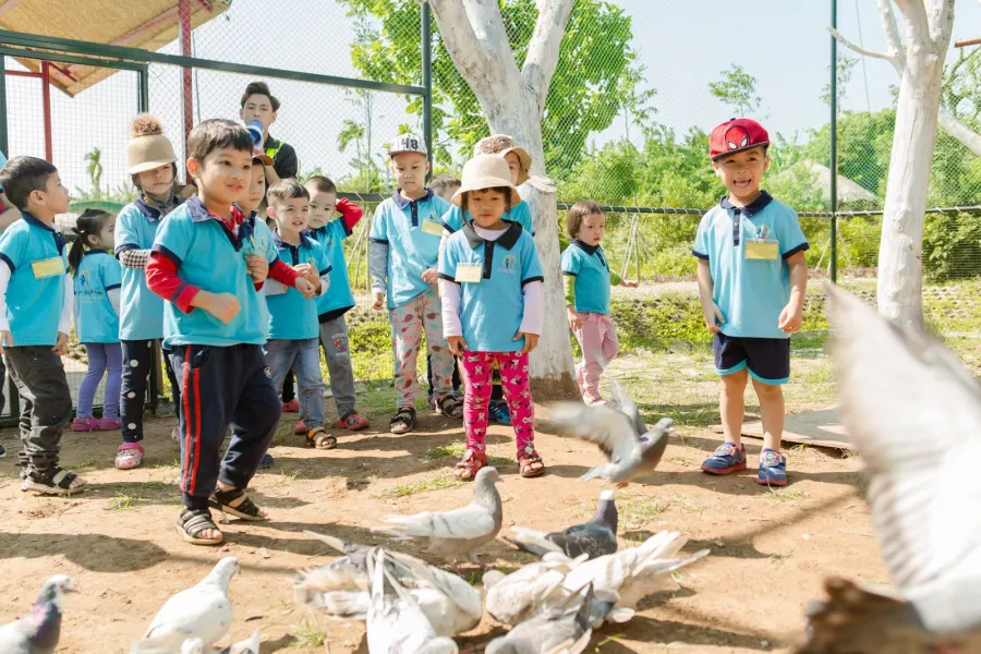 Trường Mầm Non Việt Pháp - Văn Quán