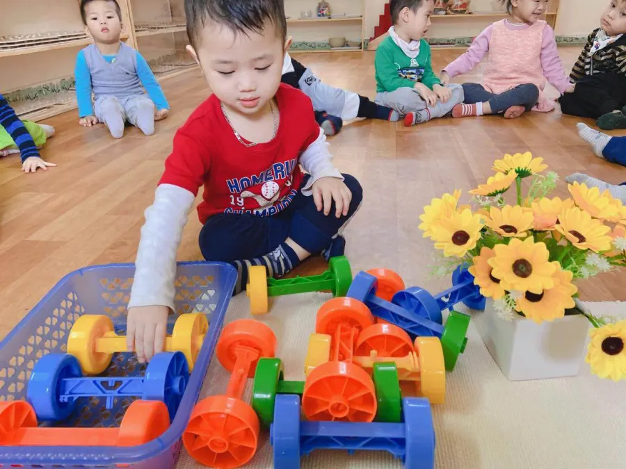 Trường Mầm Non Chim Sâu Baby - Phúc Xá