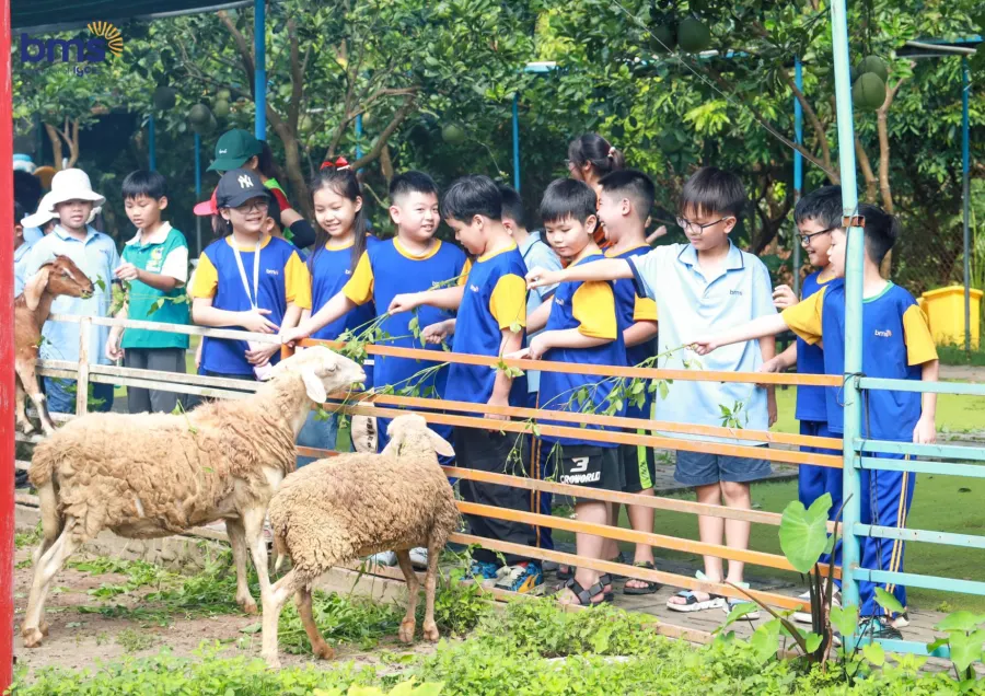 Trường Tiểu Học Ban Mai - Văn Quán
