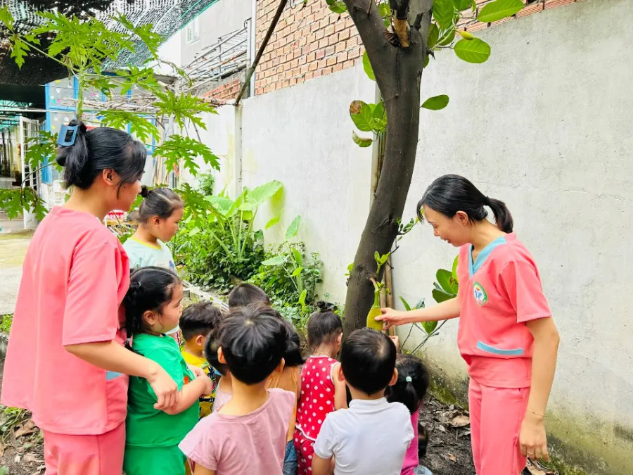 Trường Mầm non Bé Ước Mơ - Babies Dream