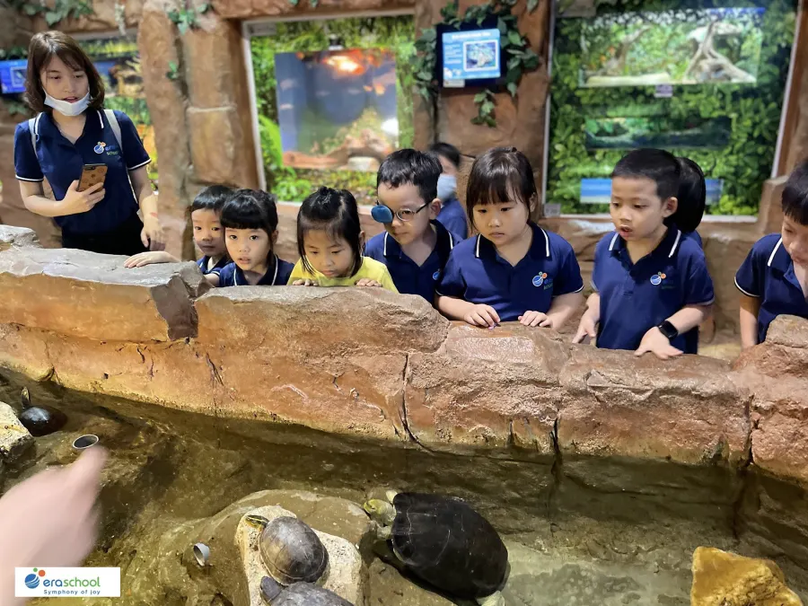HỆ THỐNG MẦM NON SINH THÁI ERASCHOOL - Eraschool Yên Phúc Hà Đông