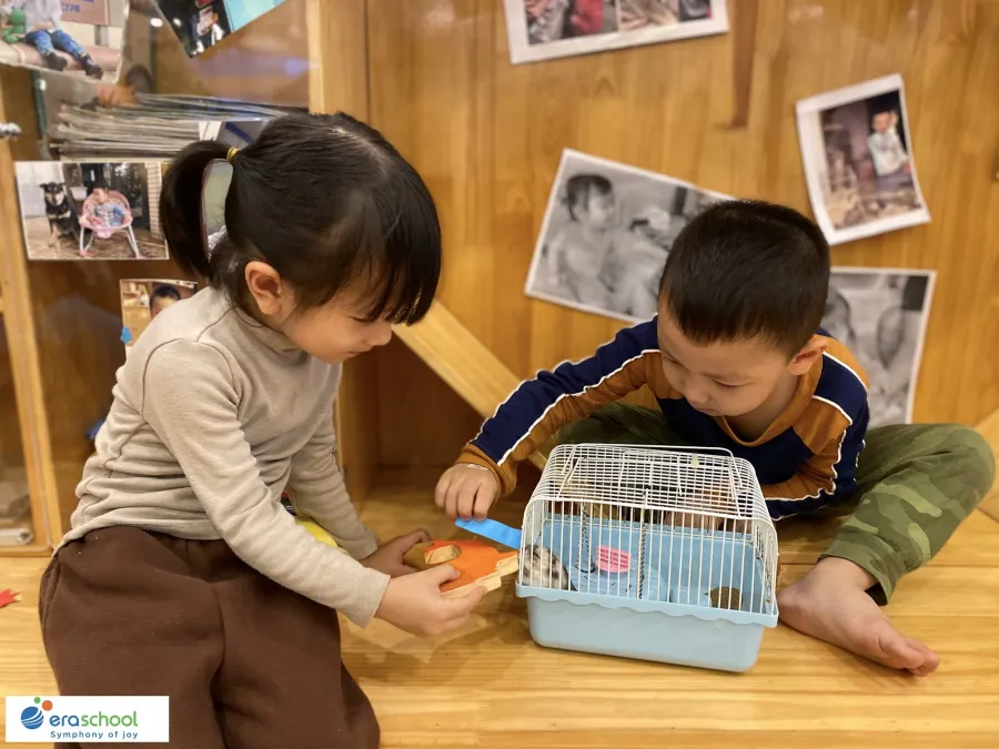 HỆ THỐNG MẦM NON SINH THÁI ERASCHOOL - Eraschool Yên Phúc Hà Đông