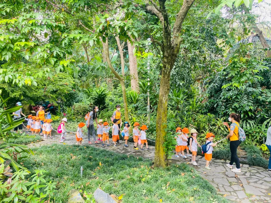 Trường Mầm Non Chuồn Chuồn Kim