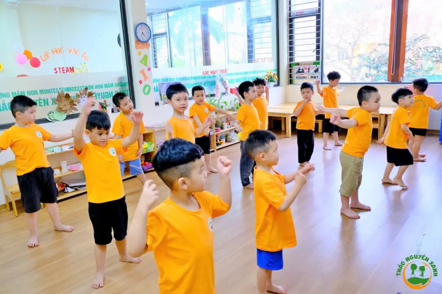 Trường mầm non Montessori Thảo Nguyên Xanh - P.Lê Hồng Phong, Phủ Lý