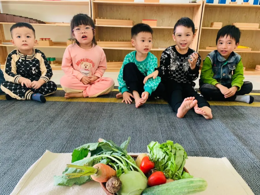Mầm Non Mầm Xanh (Little Tree) - Hưng Đạo, Hải Phòng