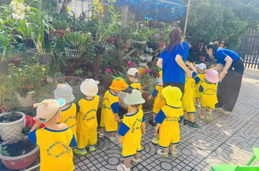 Trường Mầm Non Chú Gà Con