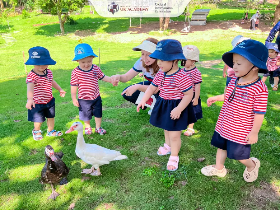 Hệ thống Trường Quốc tế Song ngữ Học viện Anh Quốc - UK Academy