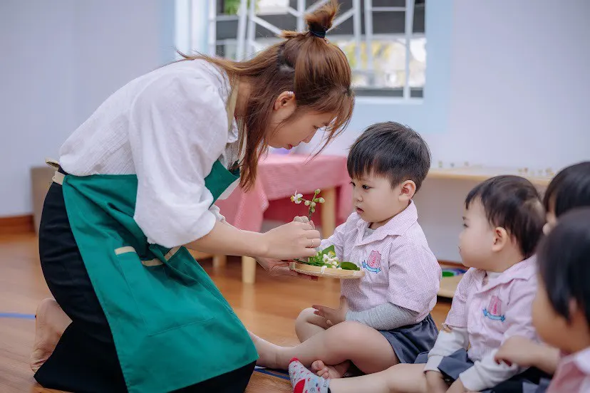 Trường Mầm Non Tháp Hồng Plus (Cơ sở 2)