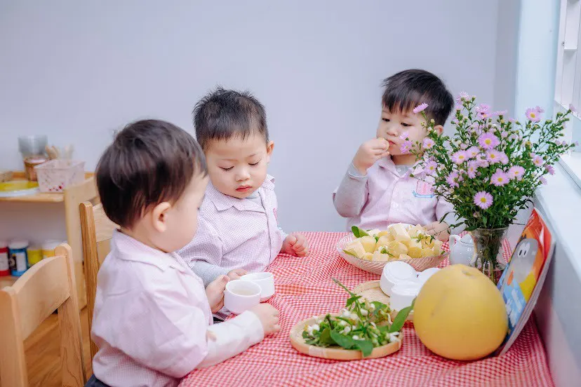 Trường Mầm Non Tháp Hồng Plus (Cơ sở 2)