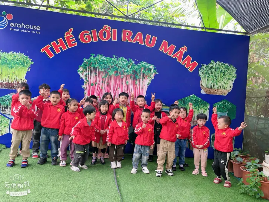 Mầm Non Hoa Mai
