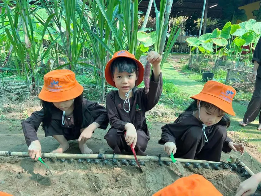 Mầm Non An Lộc