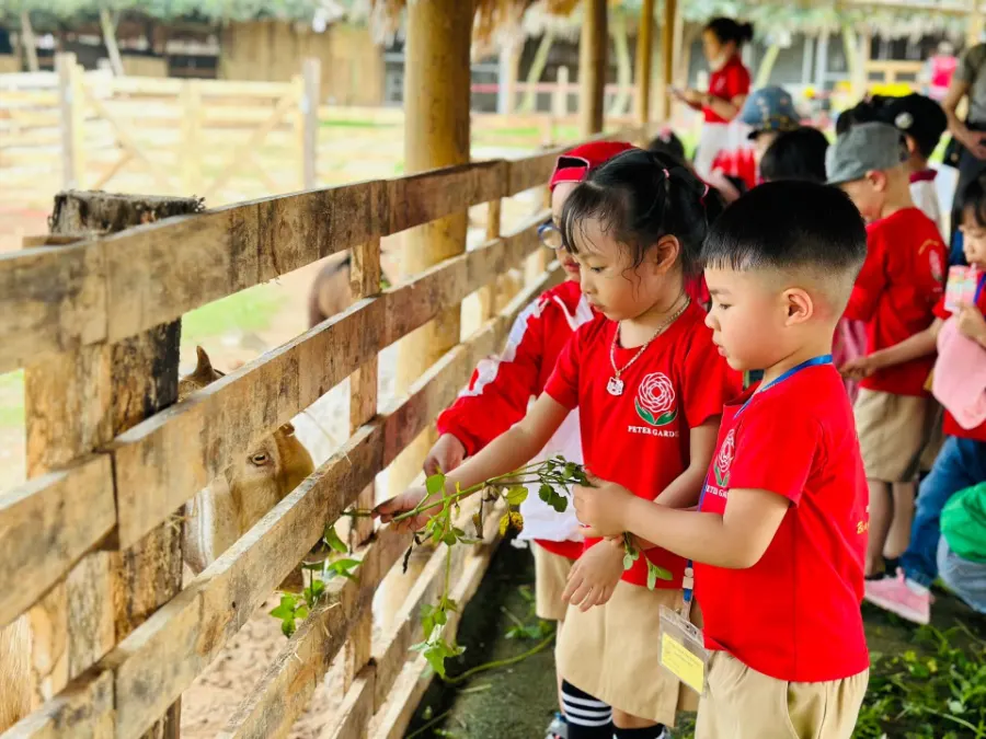 Trường Mầm Non Peter Ocean Park