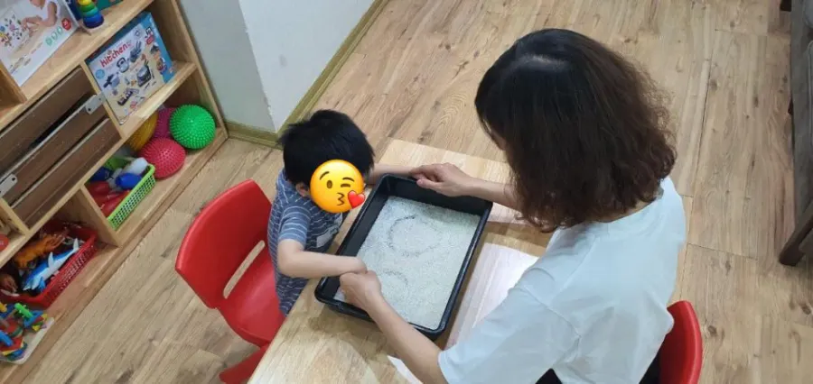 Trung Tâm Can Thiệp Việt Mỹ - KĐT Rose Town, Hoàng Mai