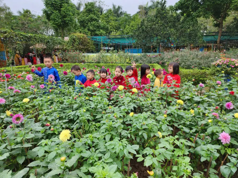 Trường Mầm Non Map Montessori - Cầu Giấy