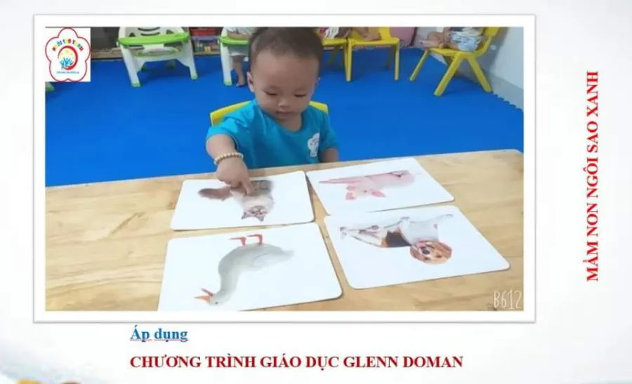 Trường mầm non Ngôi Sao Xanh (Green Stars)