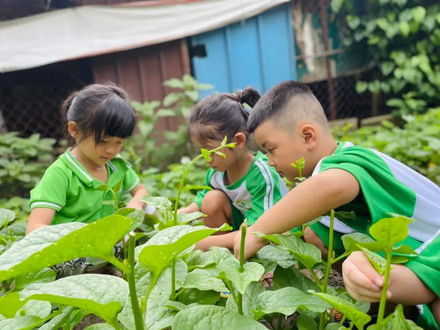 Trường Mầm Non Ngôi Nhà Xanh (Green House) - Tam Bình, Thủ Đức