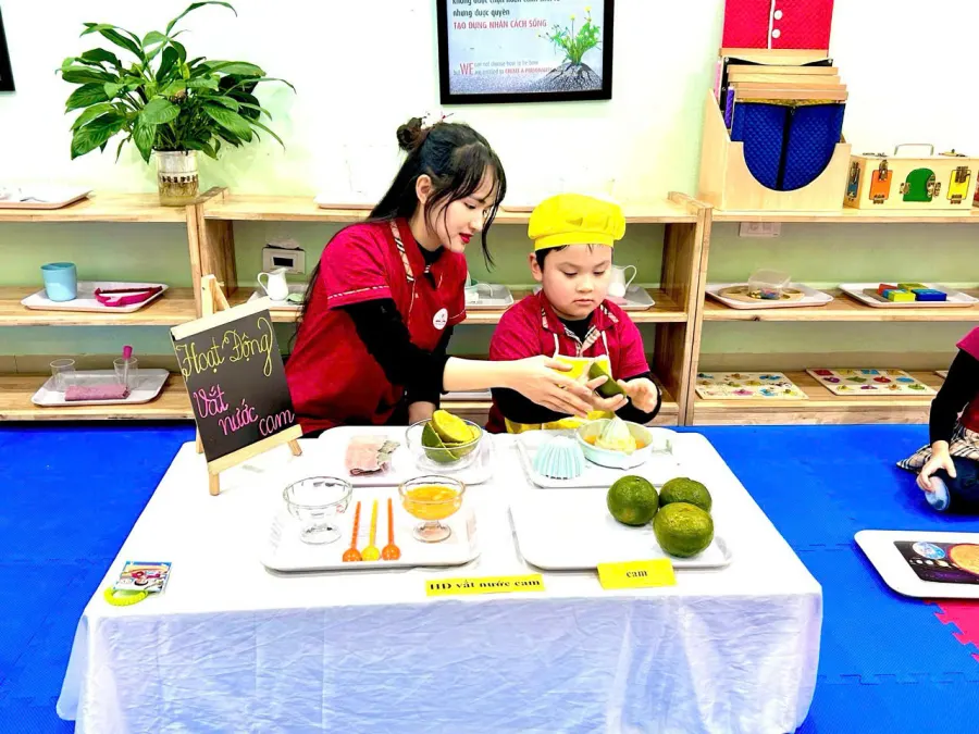 Trường Mầm Non Bi Bi Montessori