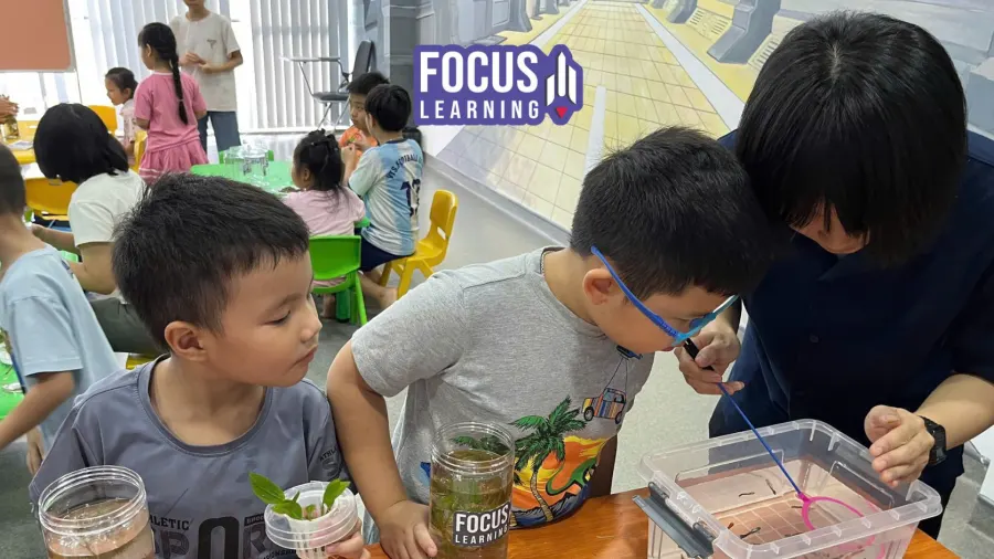 Hệ Thống Anh Ngữ - FOCUS Learning - Cơ Sở Nguyễn Thị Thập