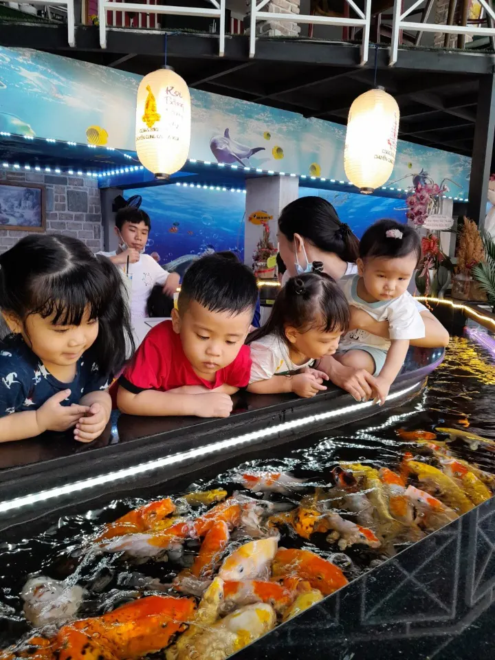 Trường mầm non Mặt Trời Mới - Sunny - Phường 15