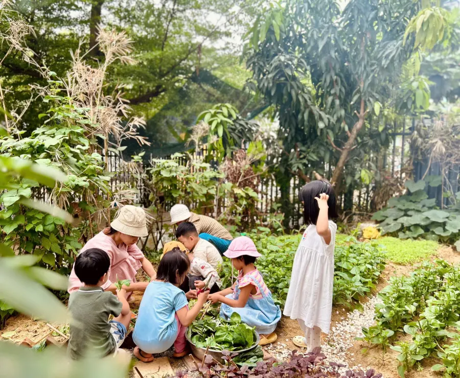 Trường Mầm Non Hoa Hướng Dương (Sunflower Steiner Kindergarten) - Hòa Cường Bắc
