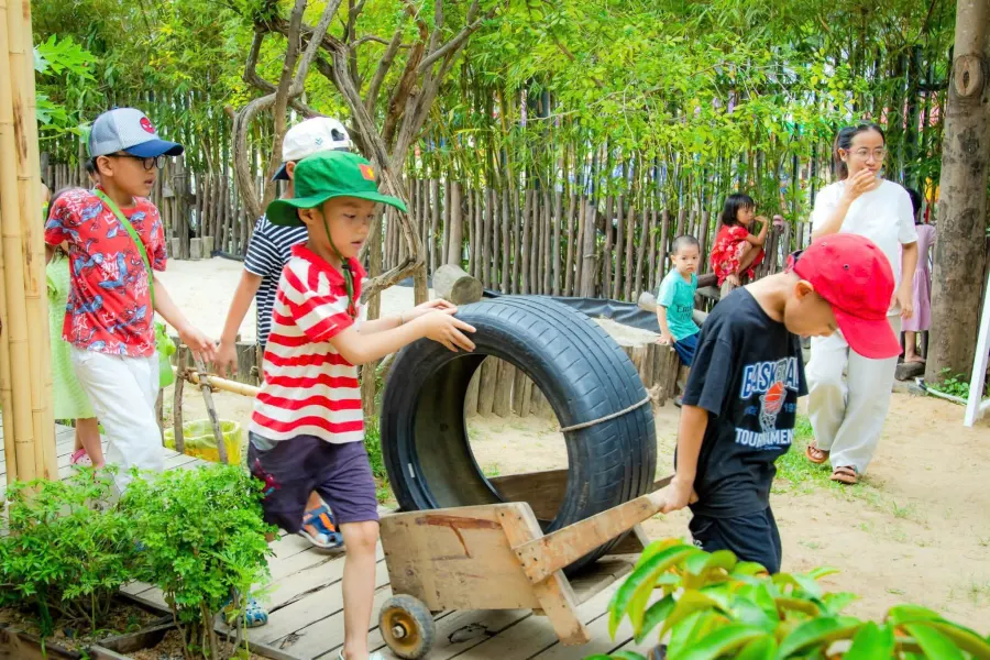 Trường Mầm Non Hoa Hướng Dương (Sunflower Steiner Kindergarten) - Hòa Cường Bắc