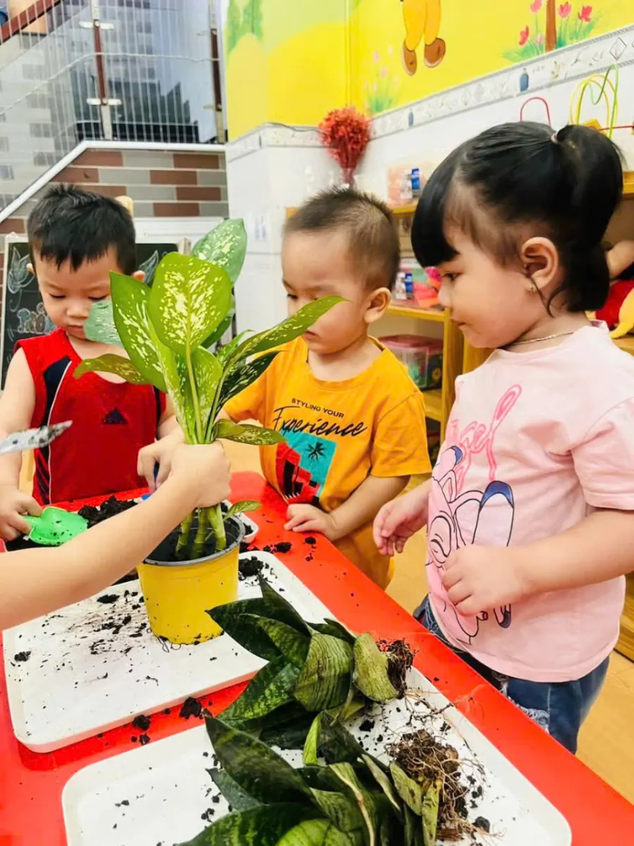 Mầm Non Mặt Trời Vui Nhộn
