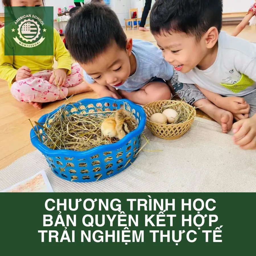 Trường mầm non American Montessori School AMSS