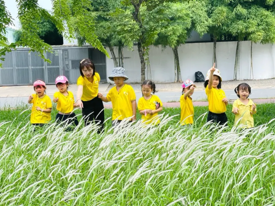 Trường Mầm Non Bàn Chân Nhỏ (Little Feet)