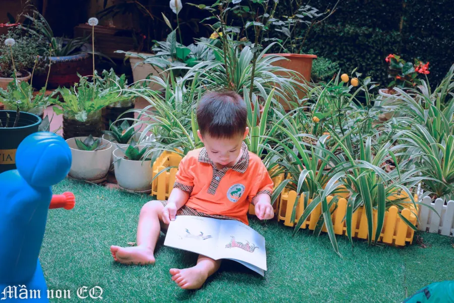 Mầm Non Song Ngữ Tài Năng Nhí (Master Kid) - Mộ Lao, Hà Đông
