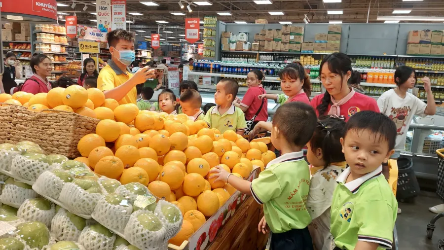 Mầm Non Ánh Trăng Vàng (Moonlight Preschool) - Phường 13, Bình Thạnh