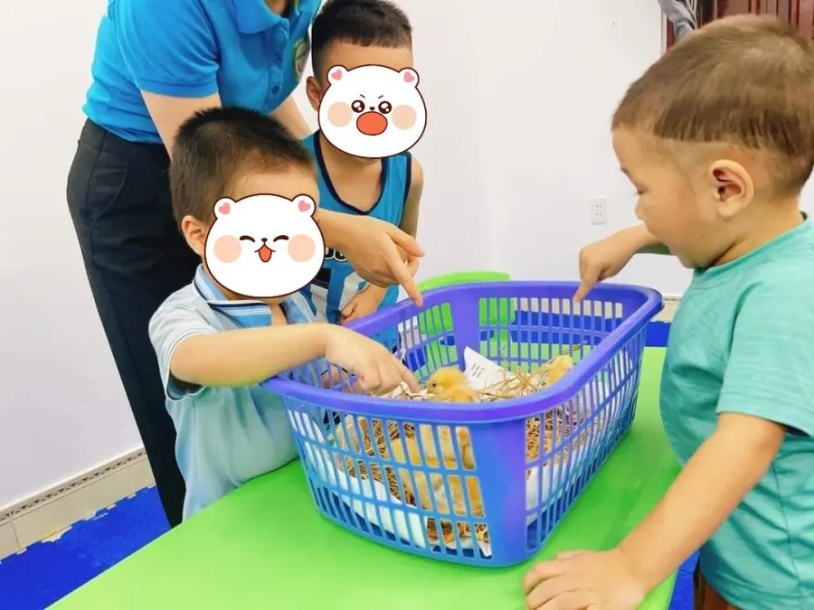 Trung Tâm Giáo Dục Đặc Biệt Khánh An Bắc Giang