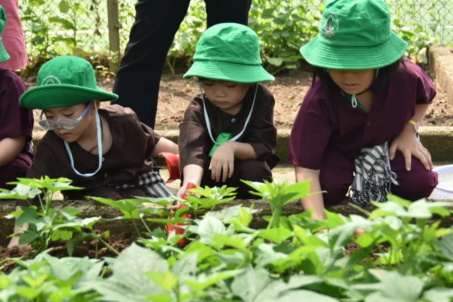 Trường Mầm Non Bambi - Tam Hoà, Biên Hoà