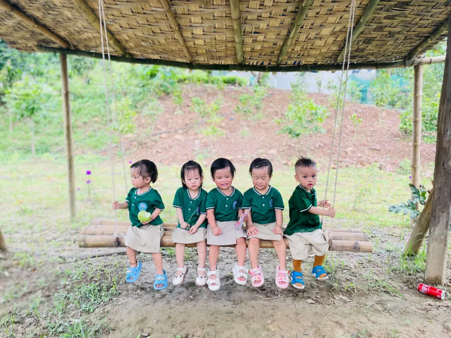 Hệ thống Mầm non Giáo dục sớm Đức Trí (Đức Trí Kindergarten) - Cao Xanh, Hạ Long