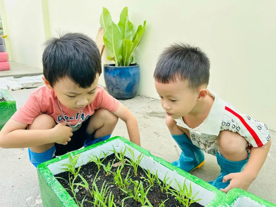Trường Mầm Non Candy - Phú Mỹ, Thủ Dầu Một
