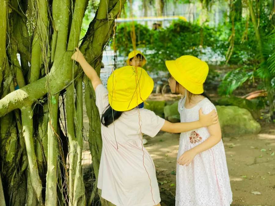 Mầm Non Cánh Đồng Mùa Xuân (SpringField Kindergarten)