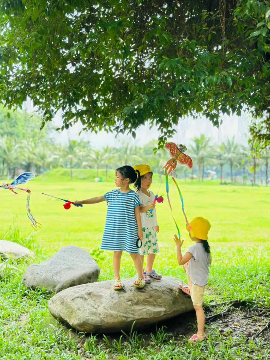 Mầm Non Cánh Đồng Mùa Xuân (SpringField Kindergarten)