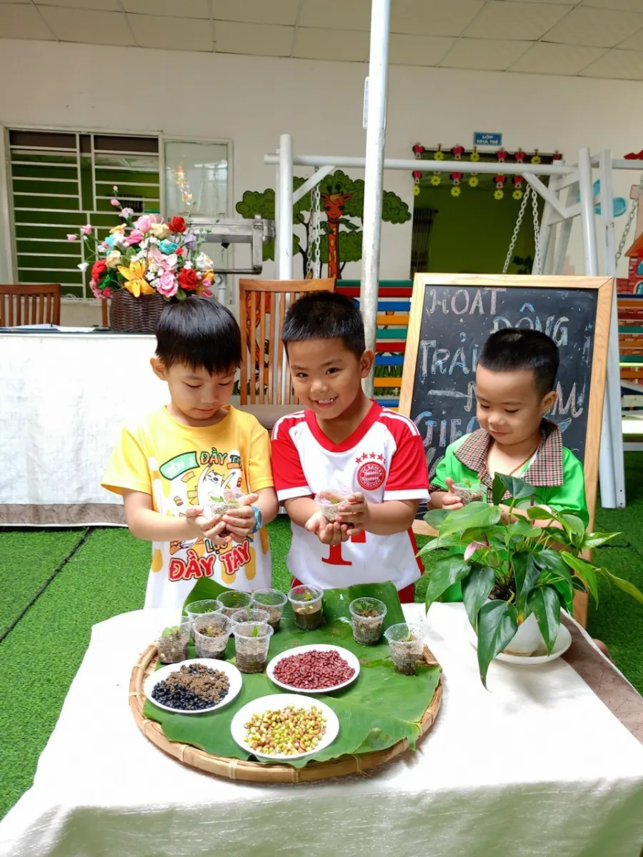 Mầm Non Mầm Xanh Montessori