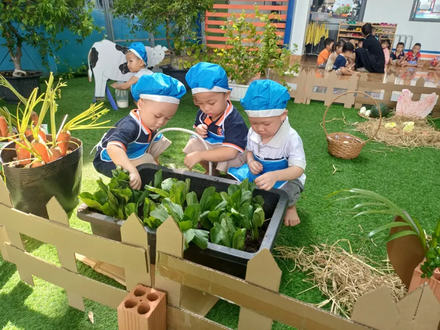 Trường Mầm Non Đại Phước Vietsing - An Phú (CS2)